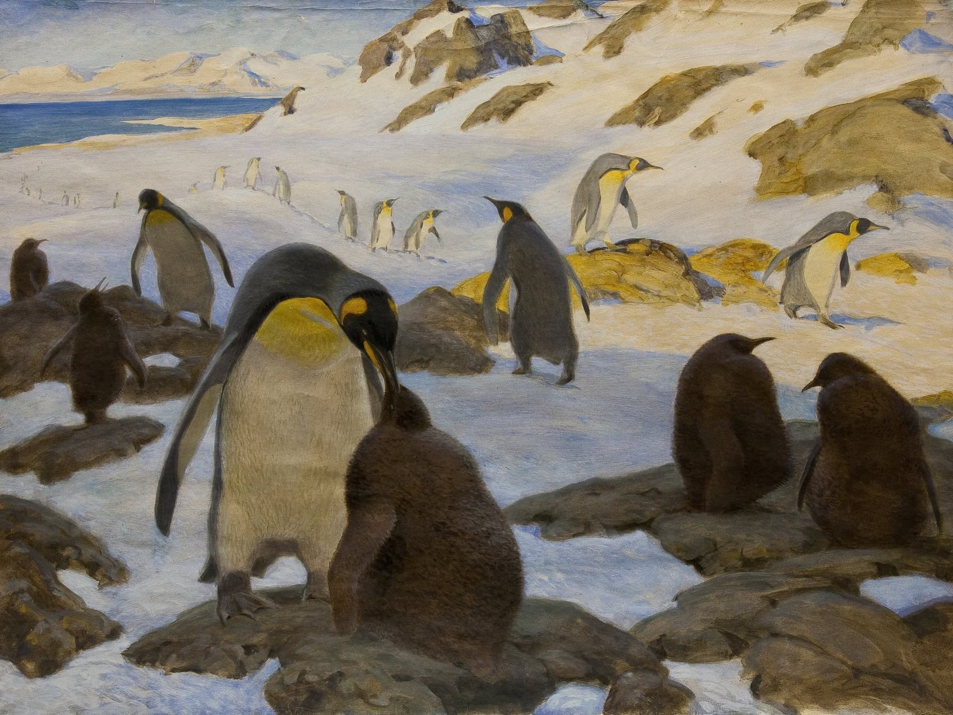 Linux-Schulung